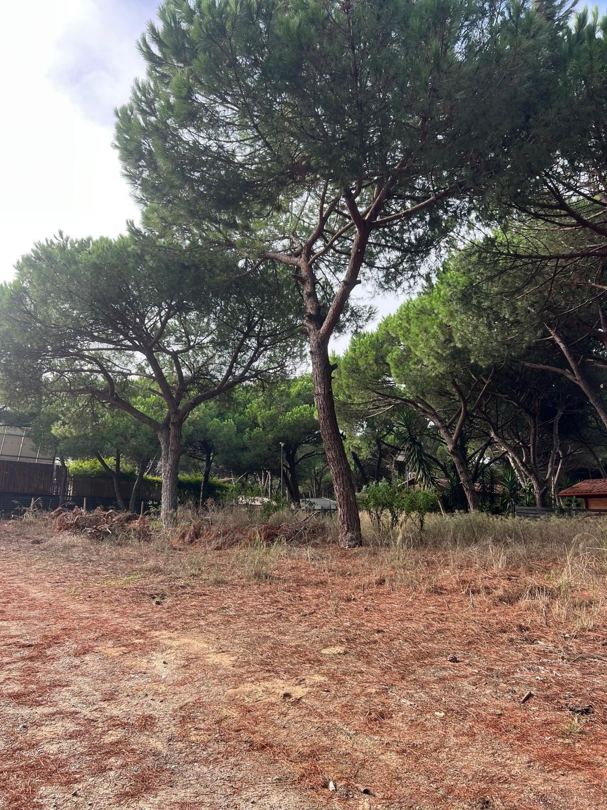 Terreno  à Venda em Almada - Setúbal - Portugal - 3