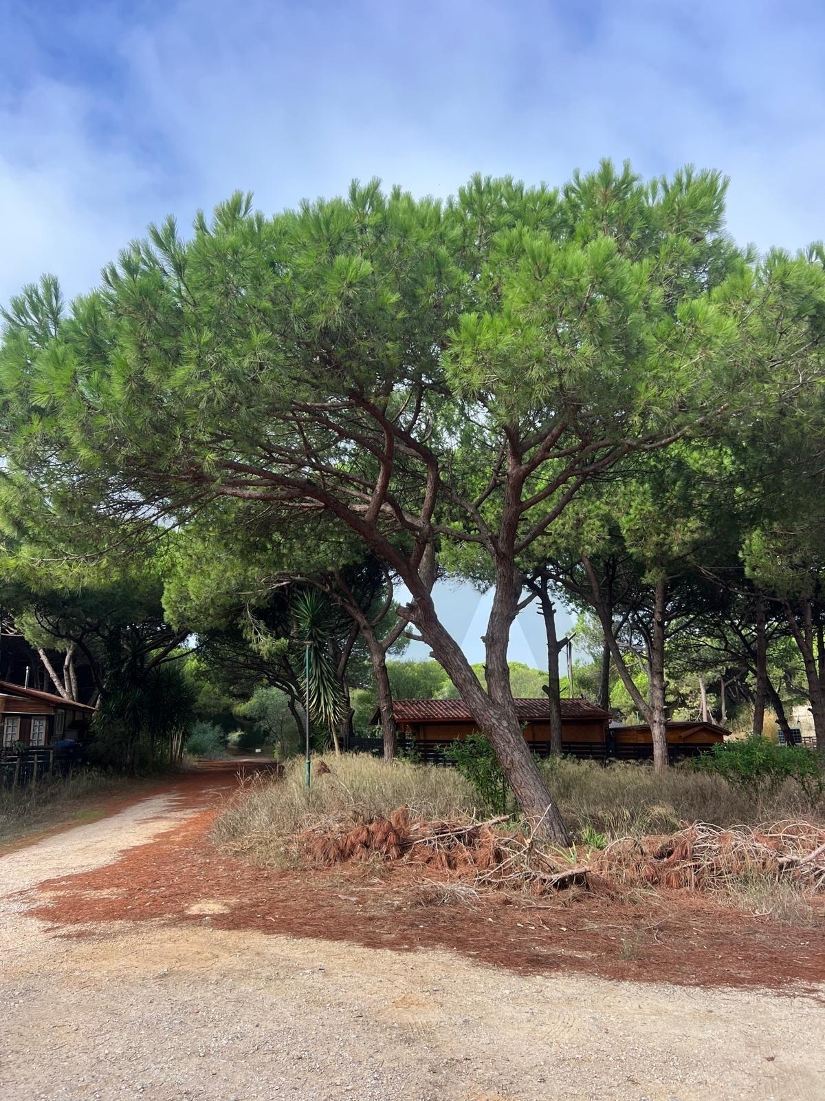 Terreno  à Venda em Almada - Setúbal - Portugal - 4