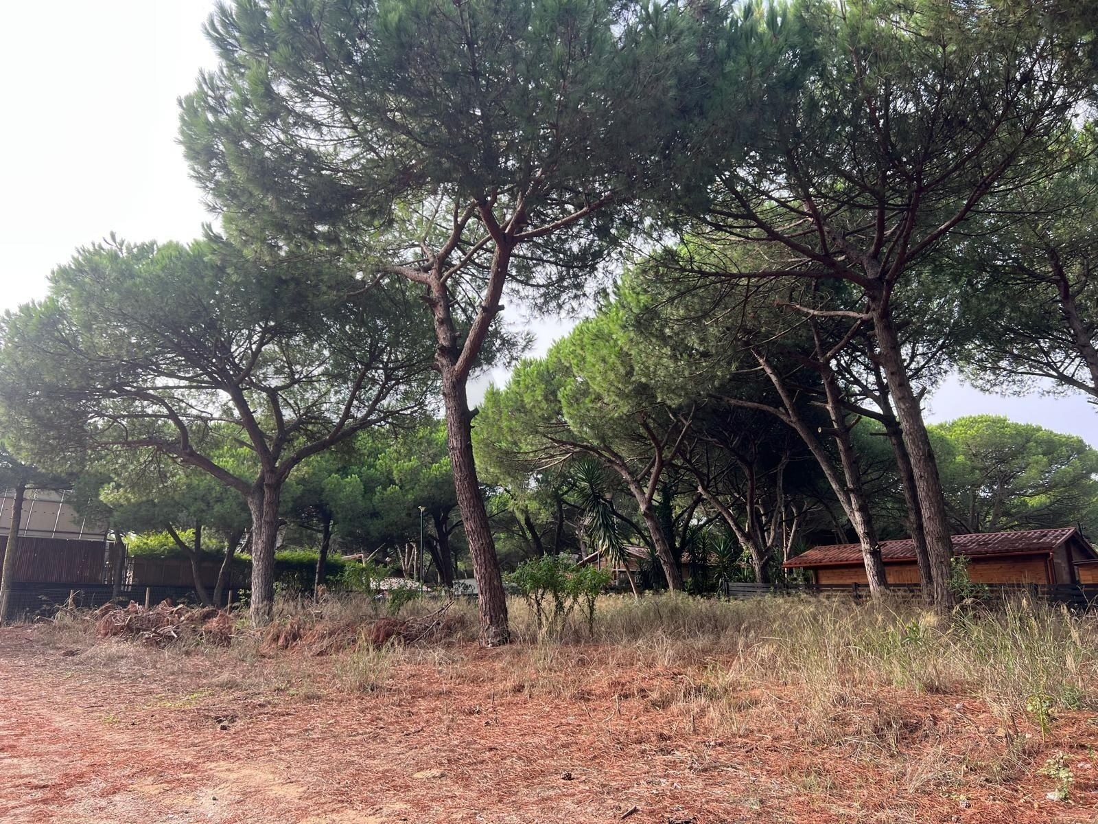 Terreno  à Venda em Almada - Setúbal - Portugal - 5