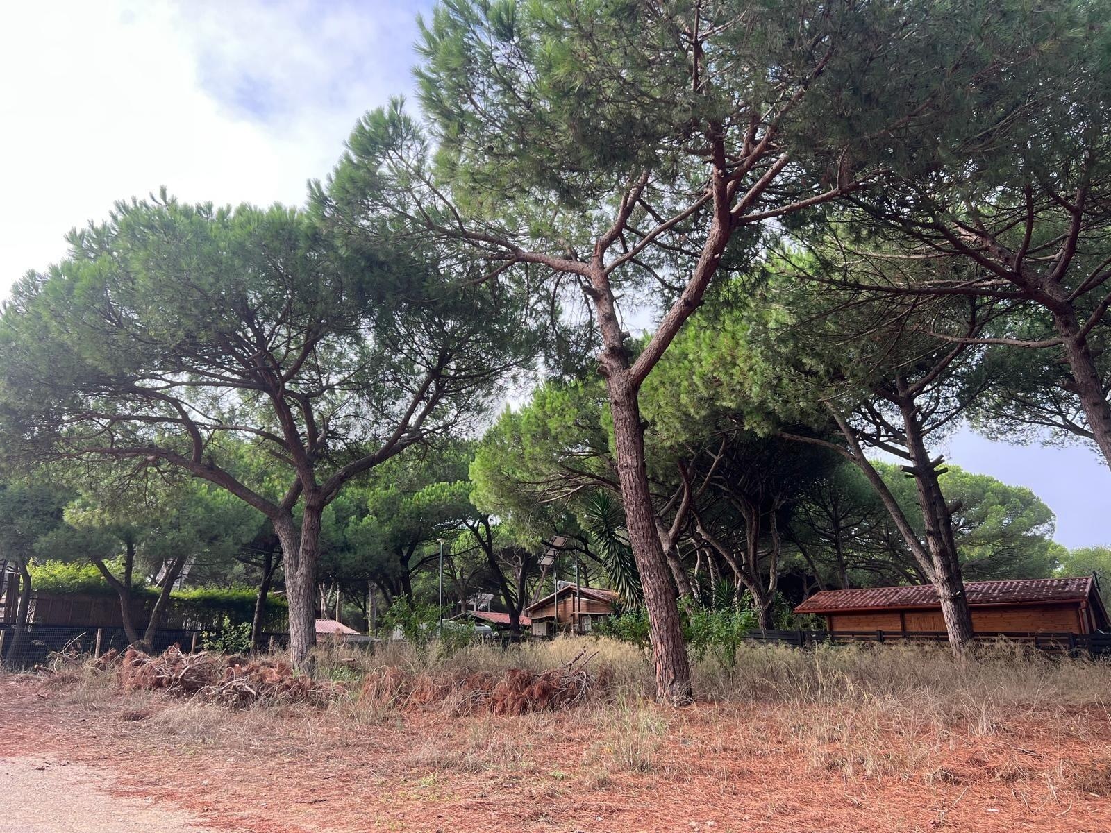 Terreno  à Venda em Almada - Setúbal - Portugal - 6
