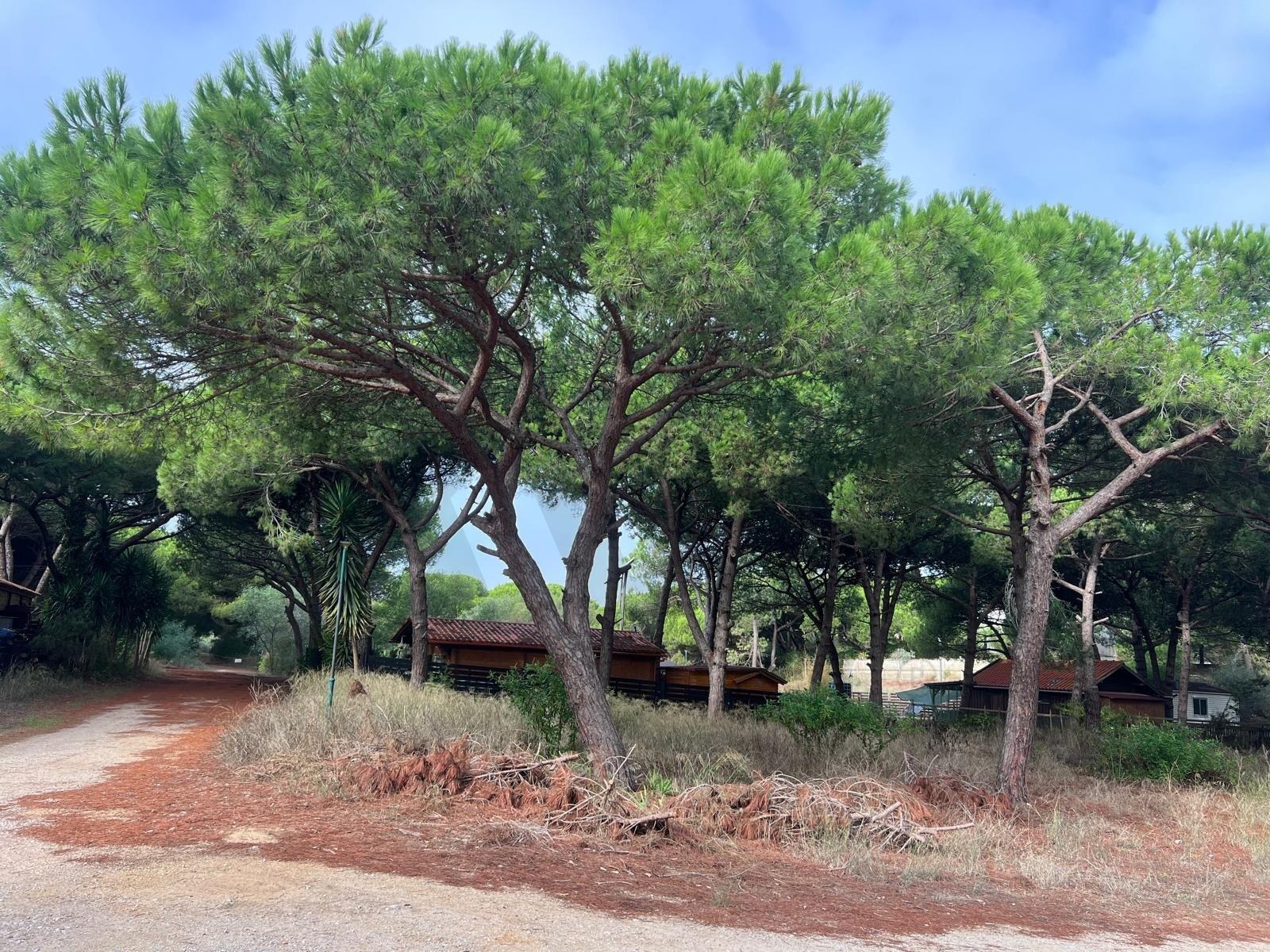Terreno  à Venda em Almada - Setúbal - Portugal - 7