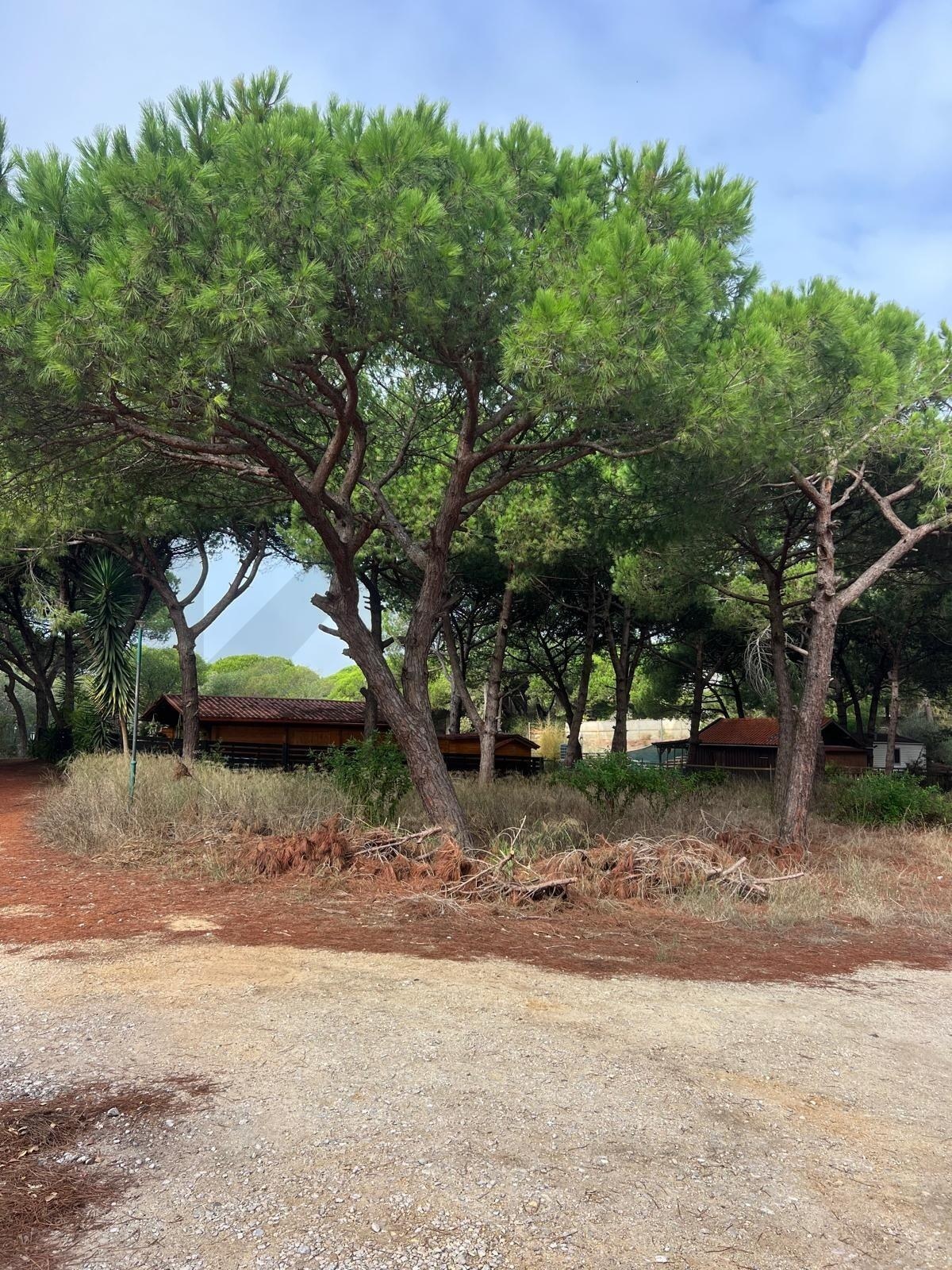 Terreno  à Venda em Almada - Setúbal - Portugal - 8