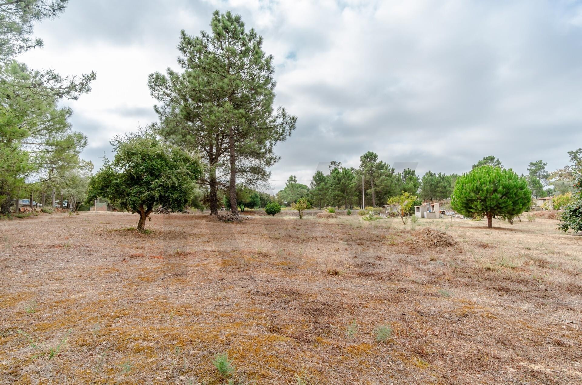 Terreno à Venda em Barreiro - Setúbal - Portugal - 5