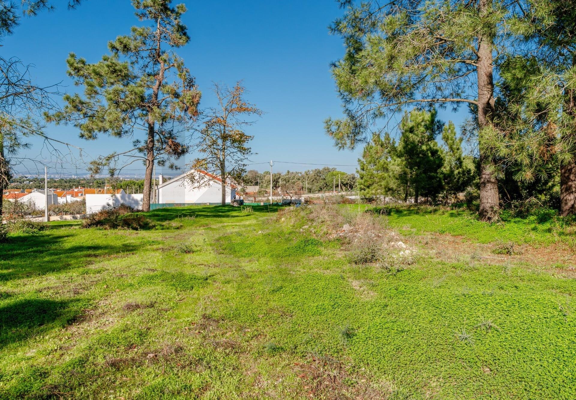 Terreno à Venda em Barreiro - Setúbal - Portugal - 2