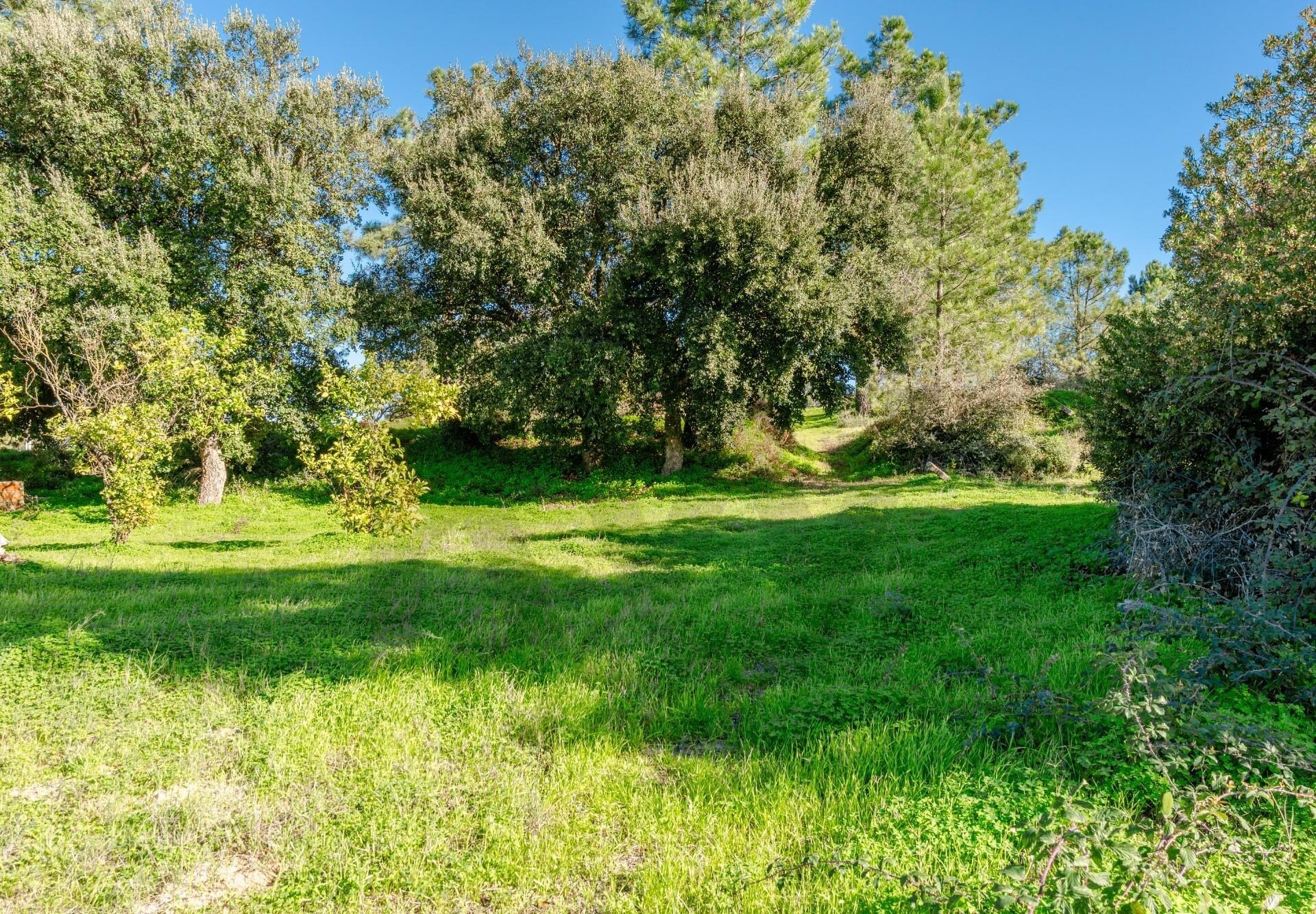 Terreno à Venda em Barreiro - Setúbal - Portugal - 7