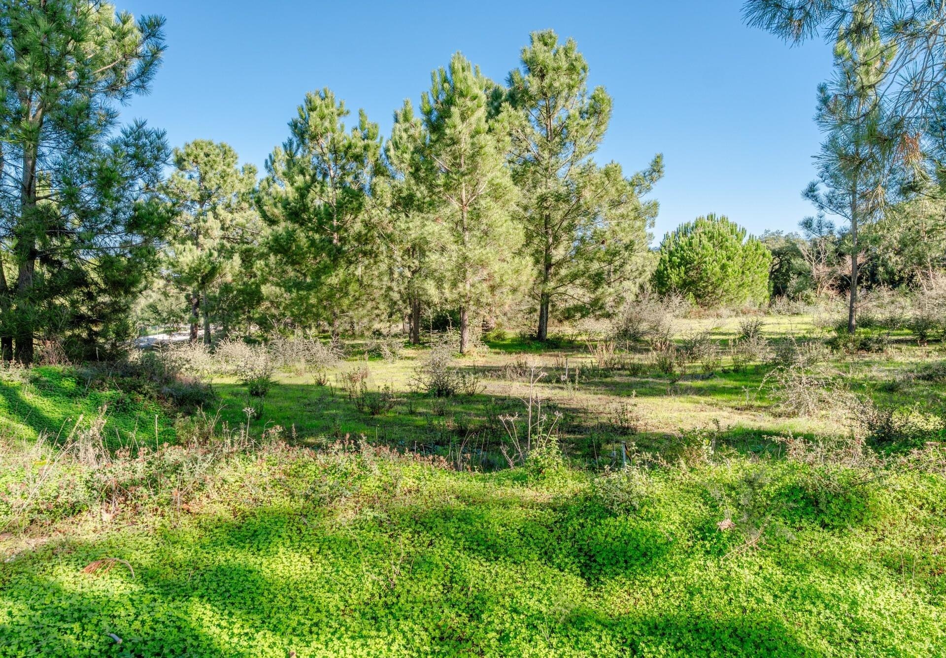 Terreno à Venda em Barreiro - Setúbal - Portugal - 7