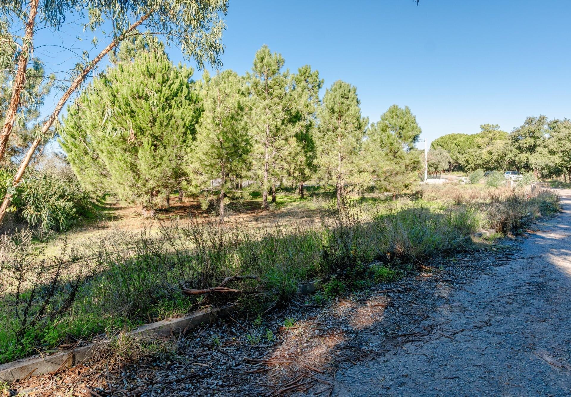 Terreno à Venda em Barreiro - Setúbal - Portugal - 4