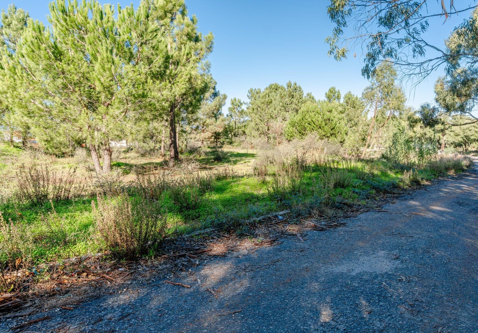 Terreno à Venda em Barreiro - Setúbal - Portugal - 5