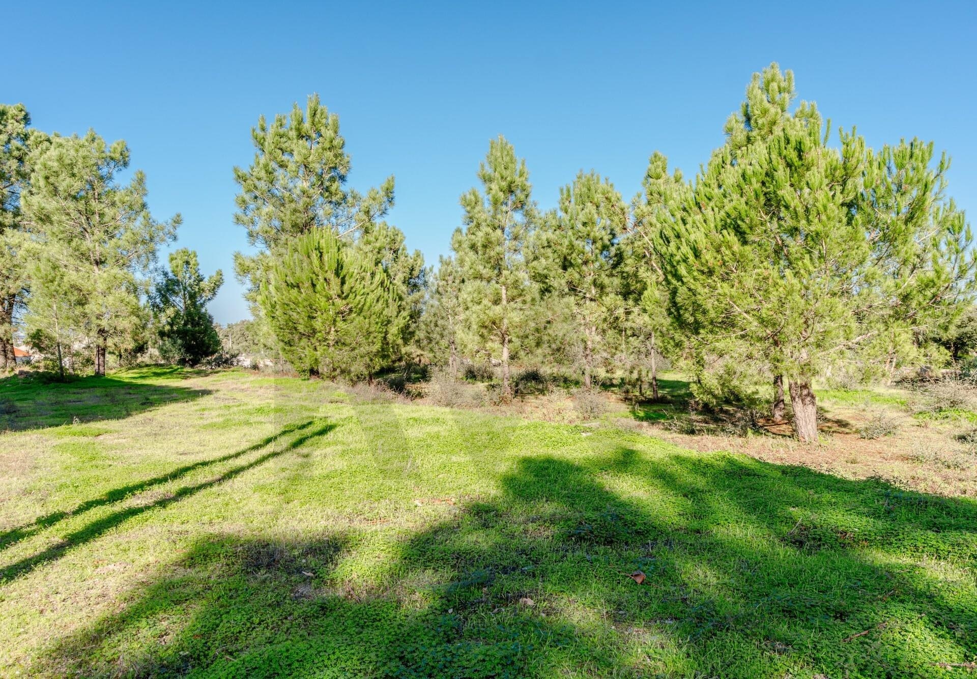 Terreno à Venda em Barreiro - Setúbal - Portugal - 7