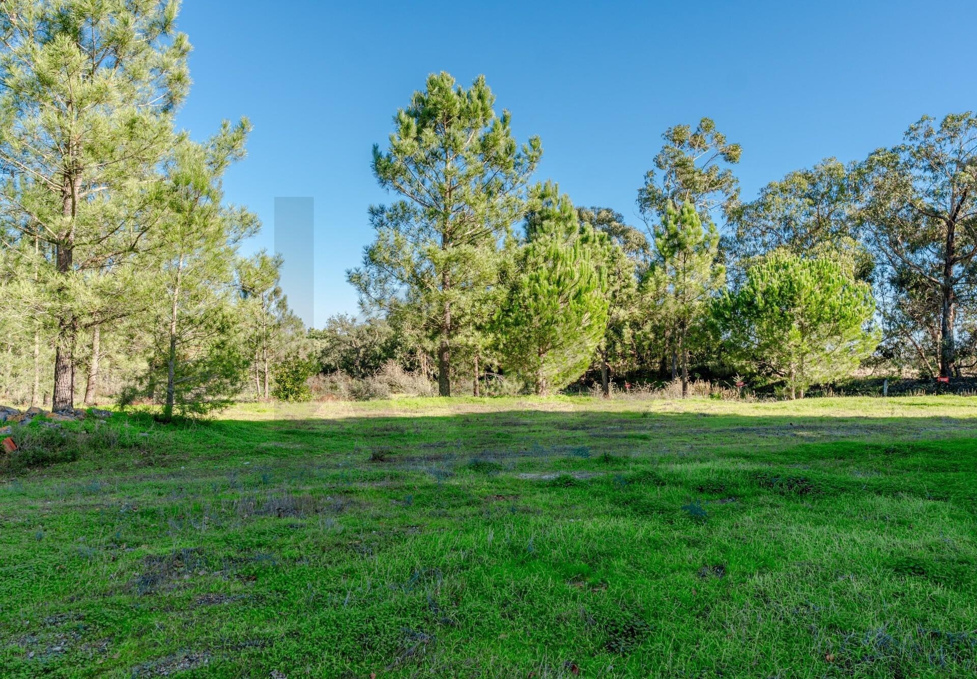 Terreno à Venda em Barreiro - Setúbal - Portugal - 8