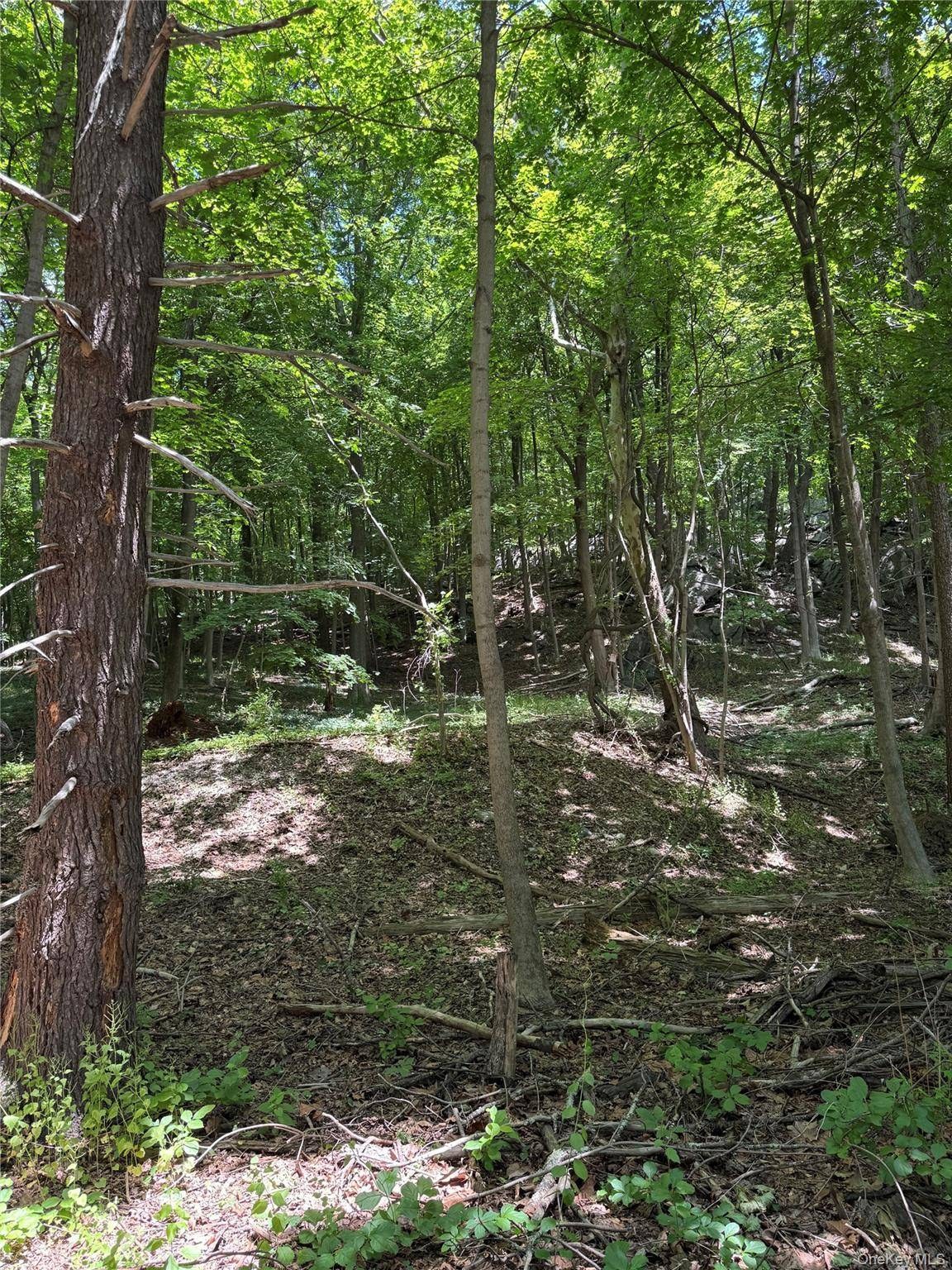 Terreno à Venda em Bedford - Nova Iorque - EUA - 7