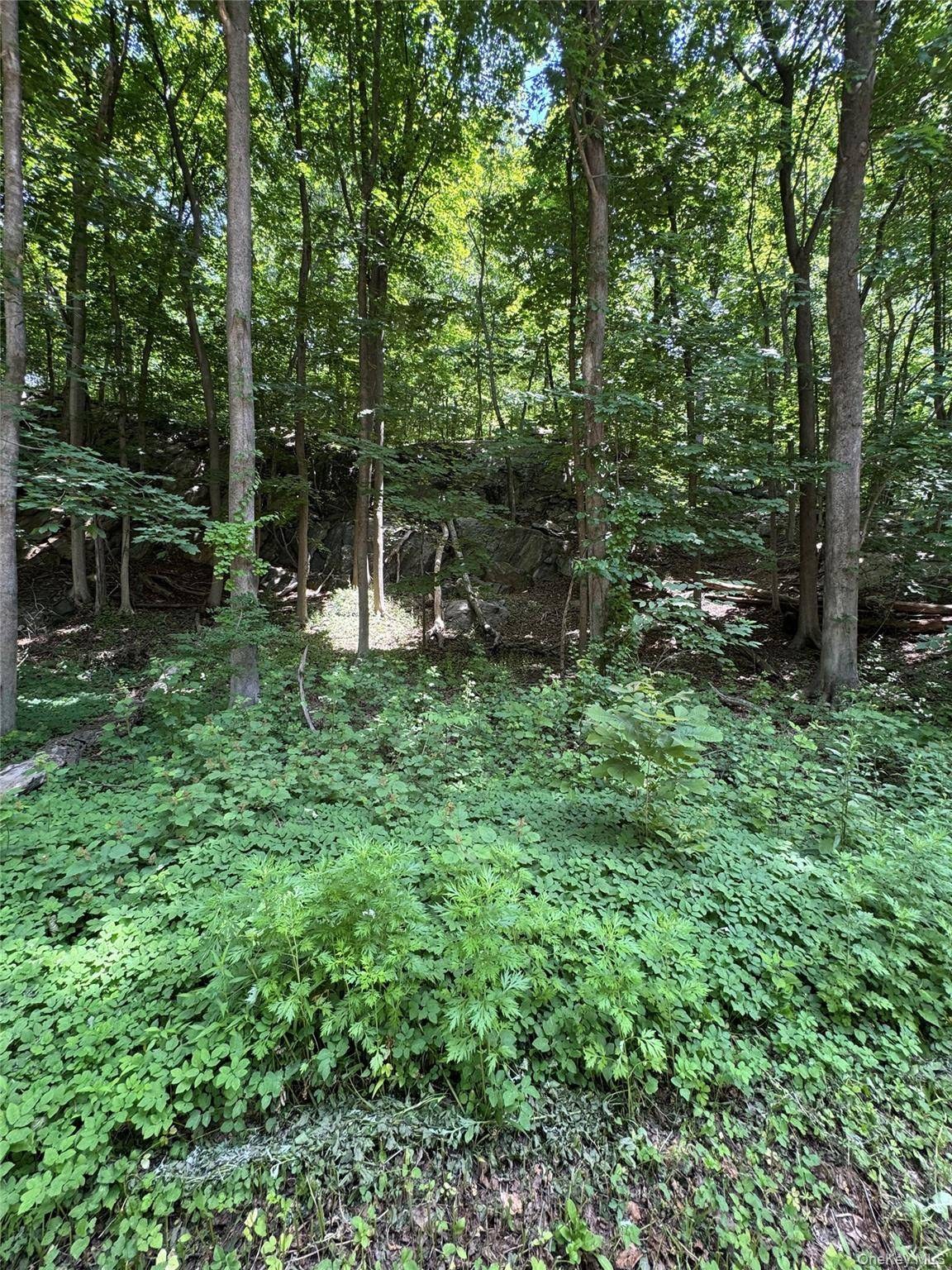 Terreno à Venda em Bedford - Nova Iorque - EUA - 8
