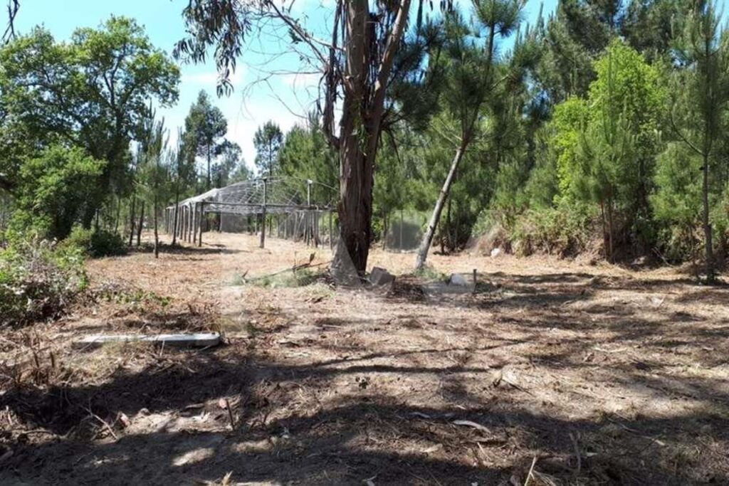 Terreno à Venda em Belas - Lisboa - Portugal - 3