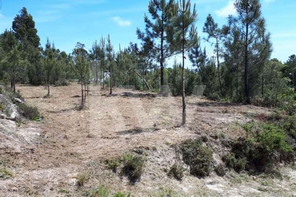Terreno à Venda em Belas - Lisboa - Portugal - 5