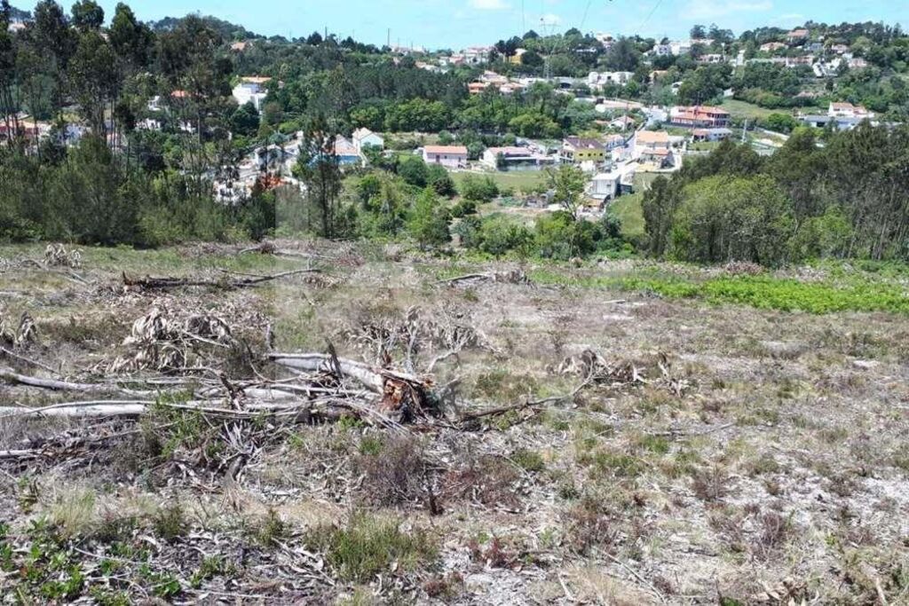 Terreno à Venda em Belas - Lisboa - Portugal - 6