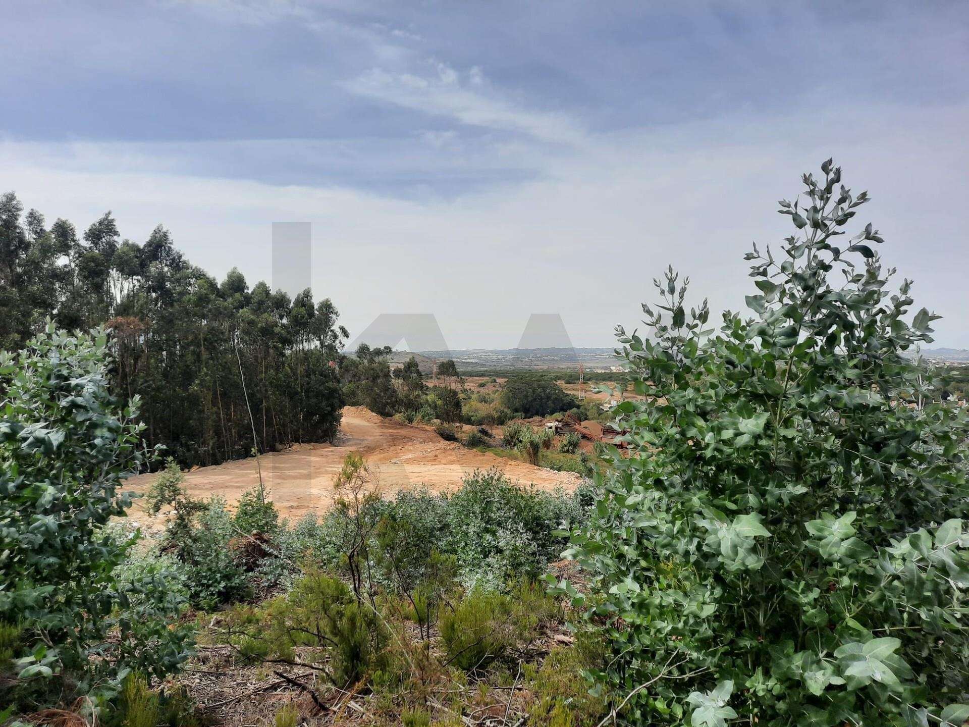 Terreno à Venda em Belas - Lisboa - Portugal - 2