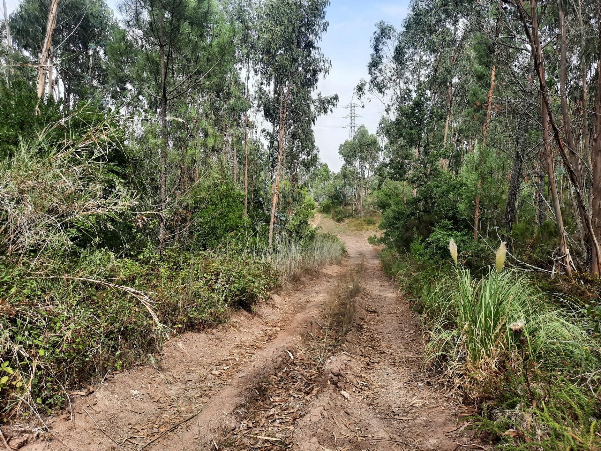 Terreno à Venda em Belas - Lisboa - Portugal - 3