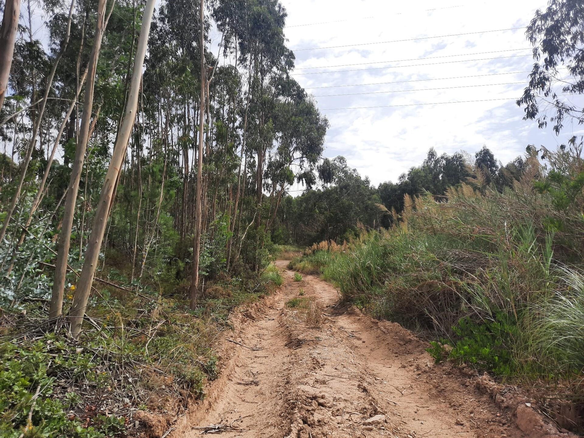 Terreno à Venda em Belas - Lisboa - Portugal - 5