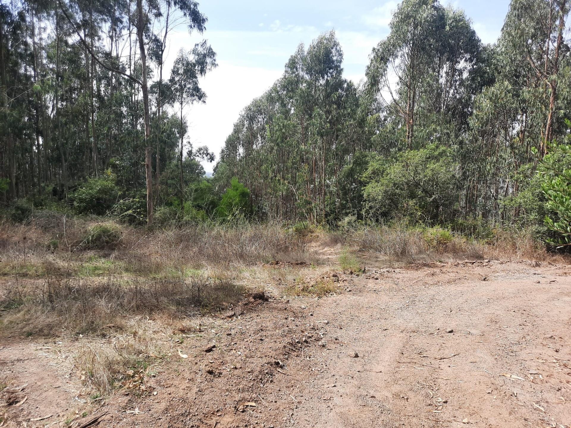 Terreno à Venda em Belas - Lisboa - Portugal - 6