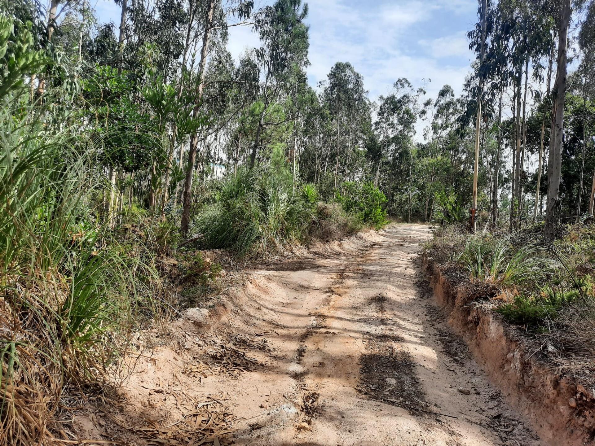 Terreno à Venda em Belas - Lisboa - Portugal - 7