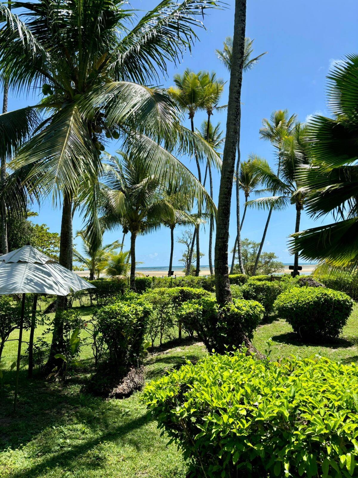 Terreno à Venda em Cairu - Bahia - Brasil - 5
