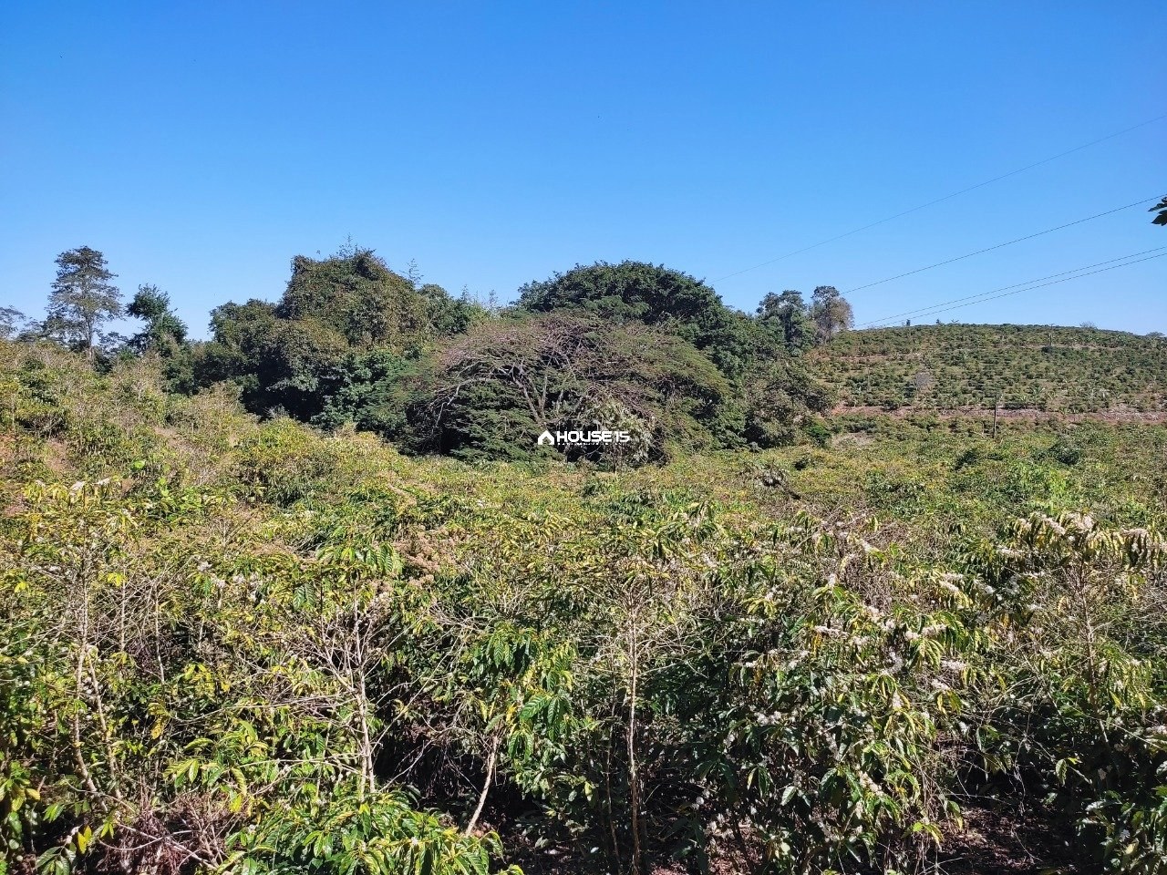Terreno à Venda em Capim Angola - Rio Novo do Sul - Espírito Santo - Brasil - 2
