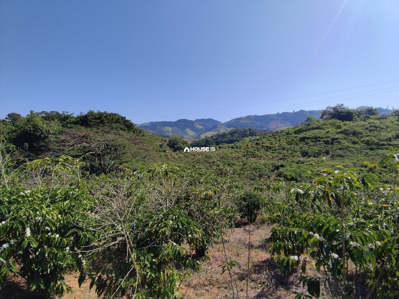 Terreno à Venda em Capim Angola - Rio Novo do Sul - Espírito Santo - Brasil - 3