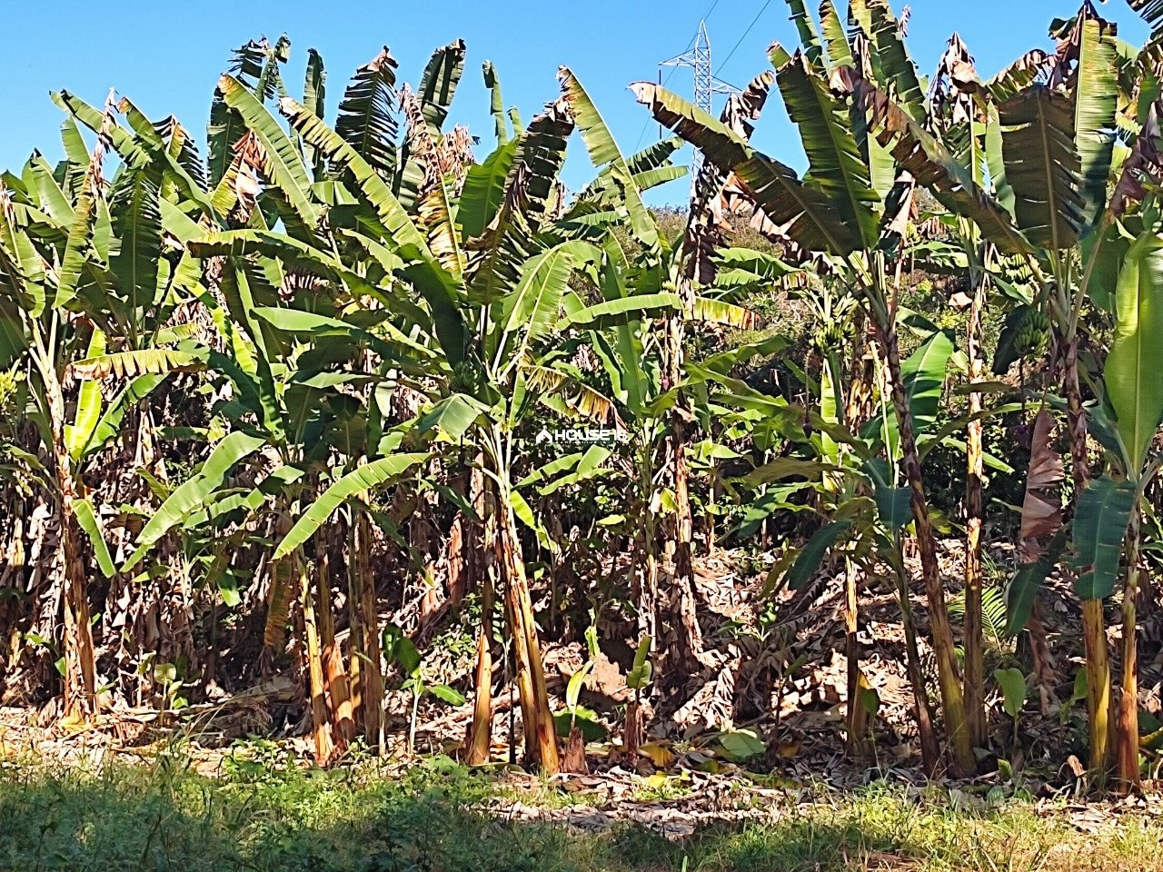 Terreno à Venda em Capim Angola - Rio Novo do Sul - Espírito Santo - Brasil - 4