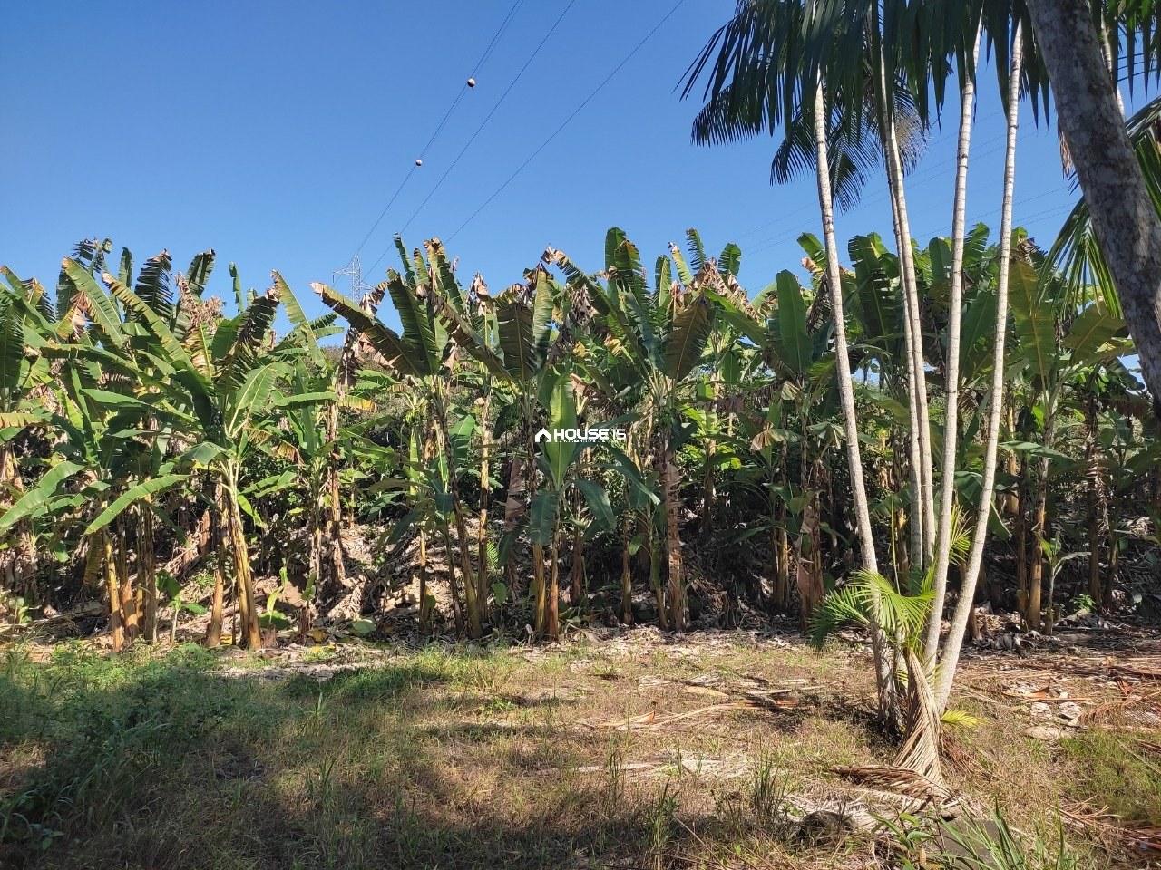 Terreno à Venda em Capim Angola - Rio Novo do Sul - Espírito Santo - Brasil - 5