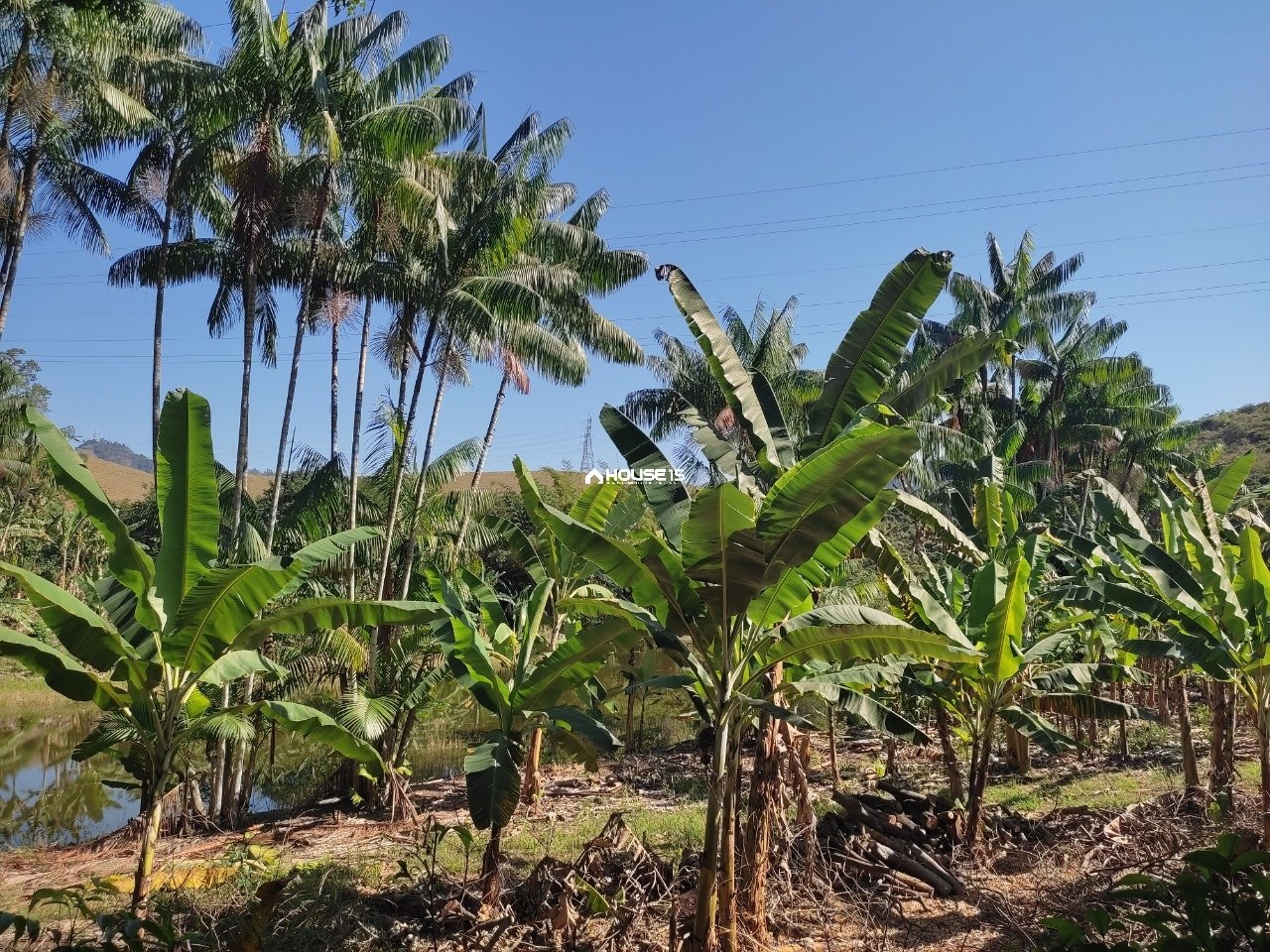 Terreno à Venda em Capim Angola - Rio Novo do Sul - Espírito Santo - Brasil - 6