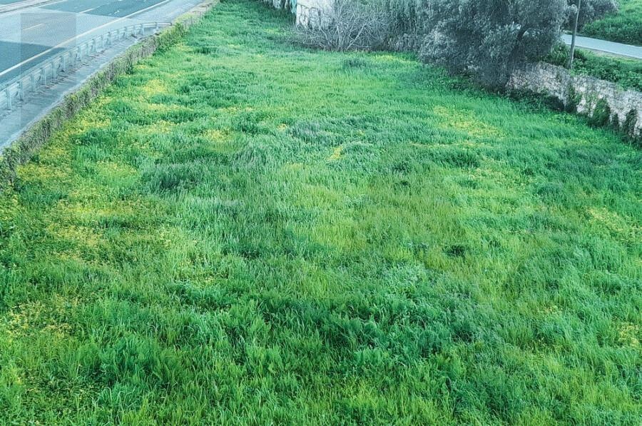 Terreno à Venda em Carcavelos - Lisboa - Portugal - 3