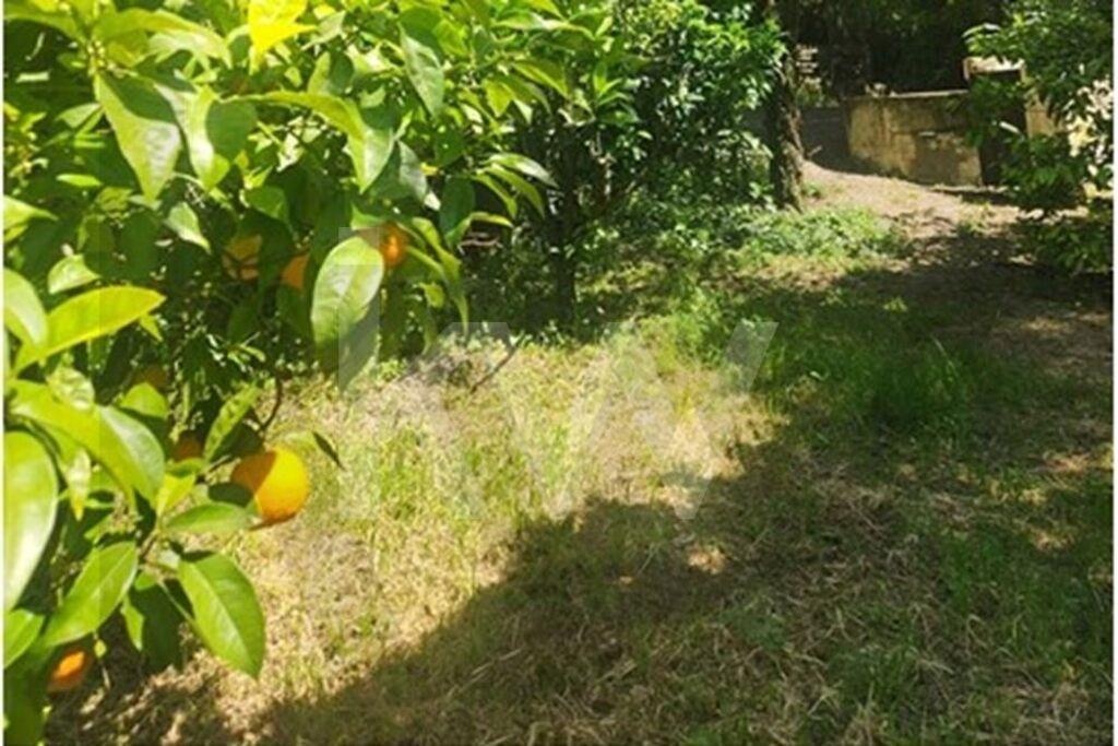 Terreno à Venda em Carcavelos - Lisboa - Portugal - 4