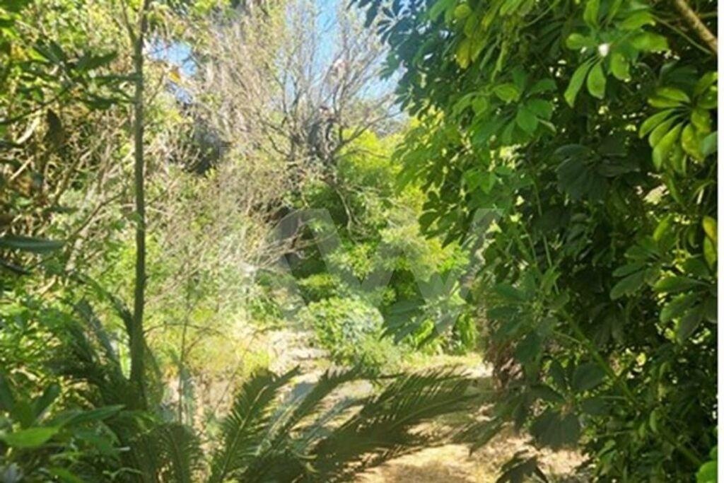 Terreno à Venda em Carcavelos - Lisboa - Portugal - 7