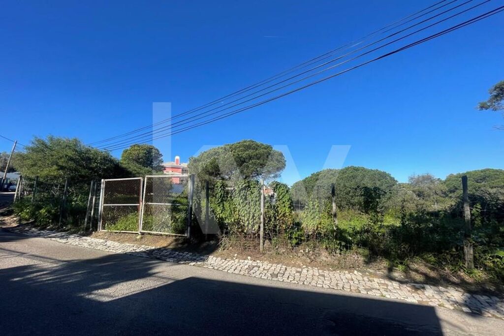 Terreno à Venda em Cascais - Lisboa - Portugal - 6