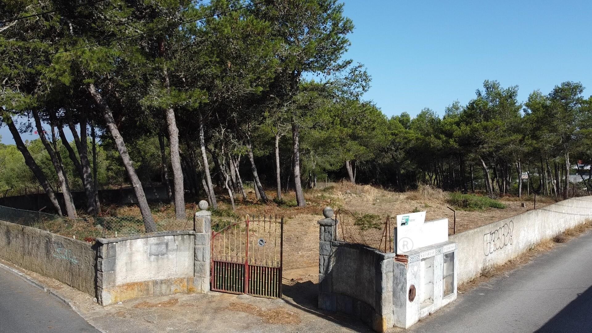 Terreno à Venda em Cascais - Lisboa - Portugal - 3