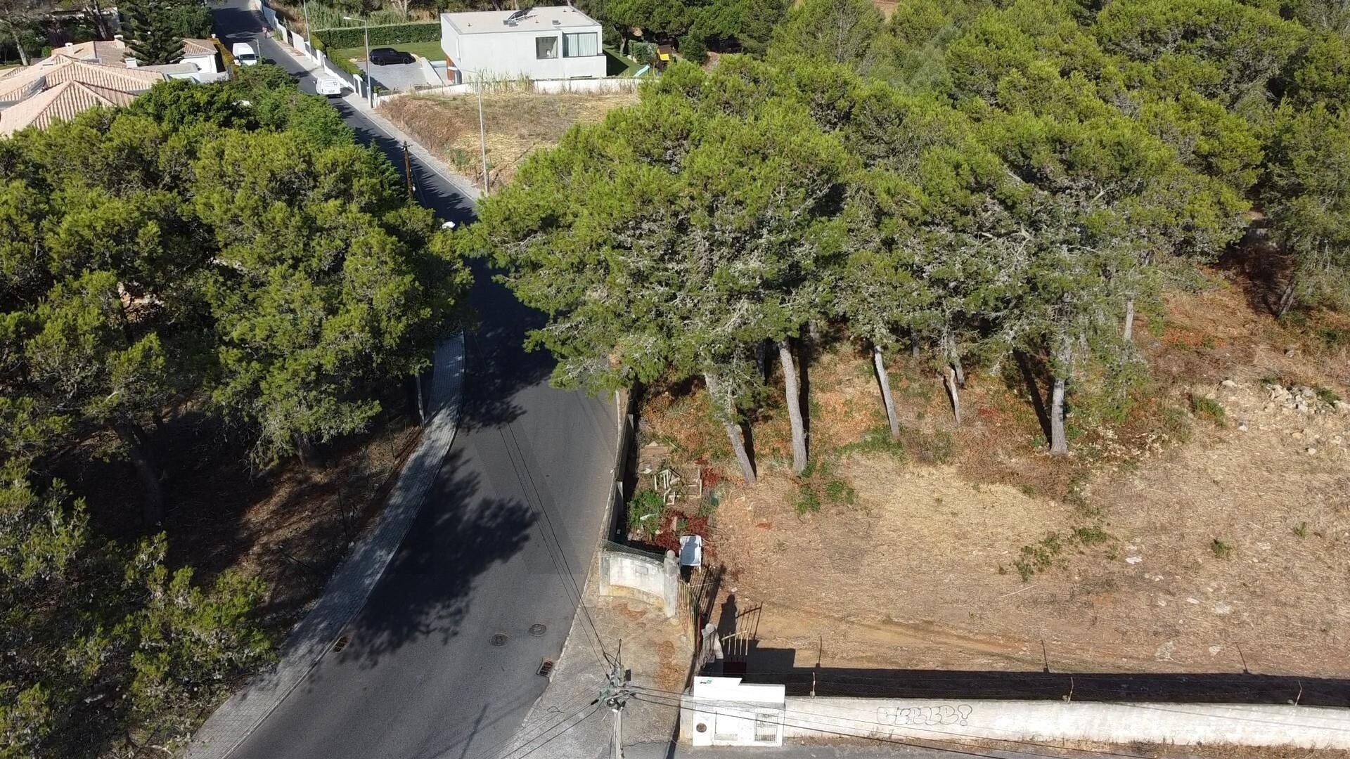 Terreno à Venda em Cascais - Lisboa - Portugal - 4