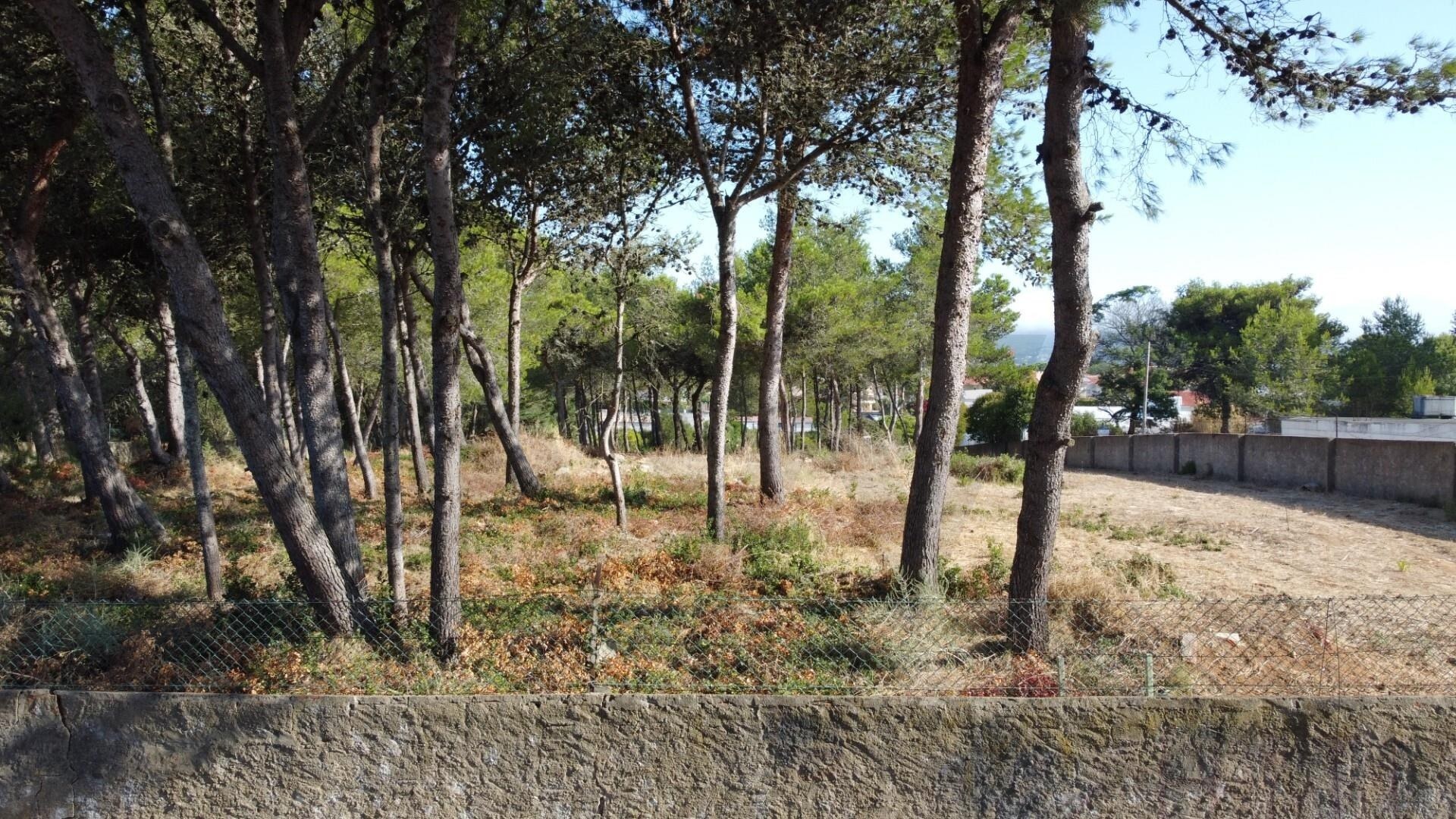 Terreno à Venda em Cascais - Lisboa - Portugal - 5