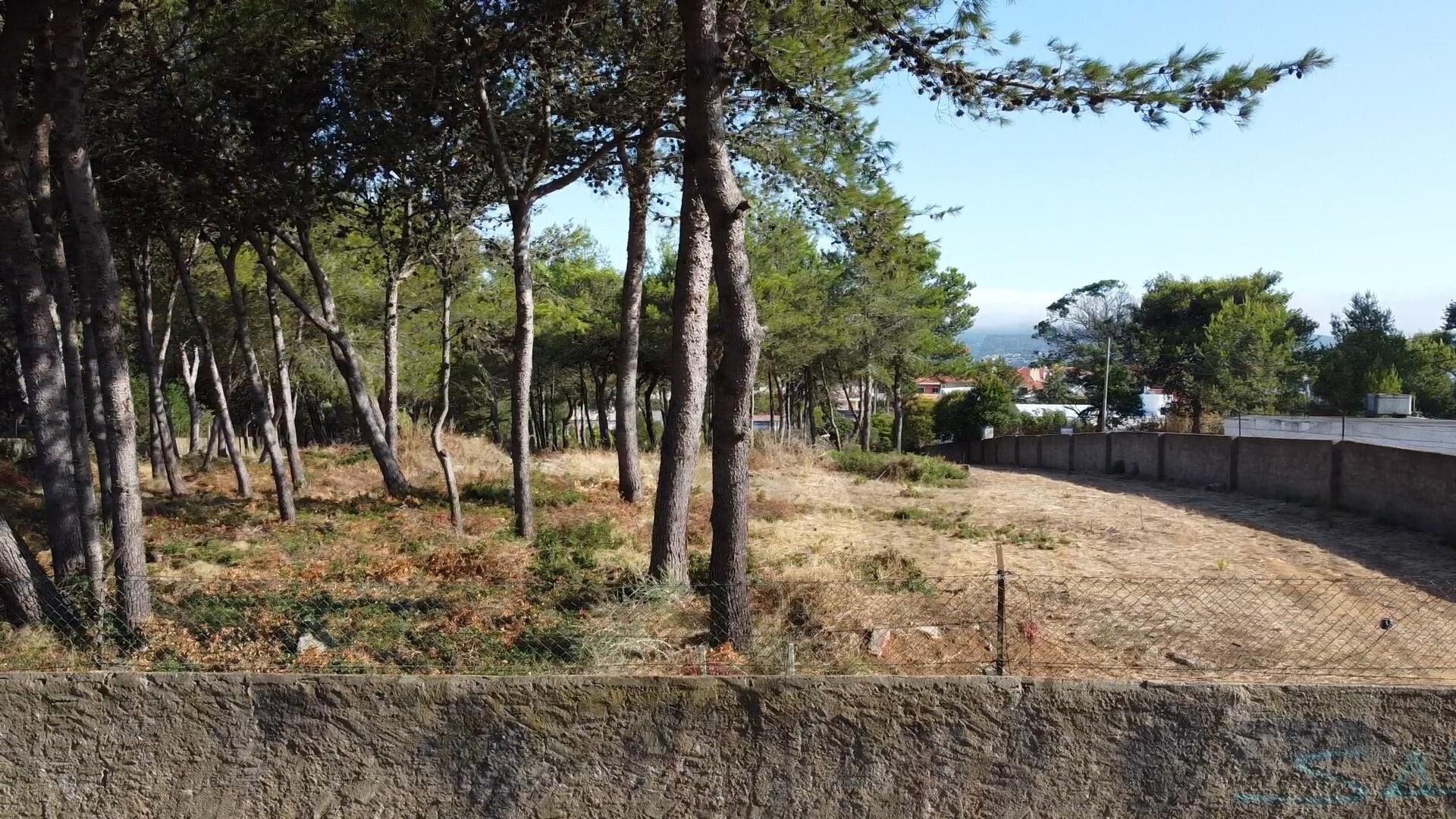 Terreno à Venda em Cascais - Lisboa - Portugal - 6