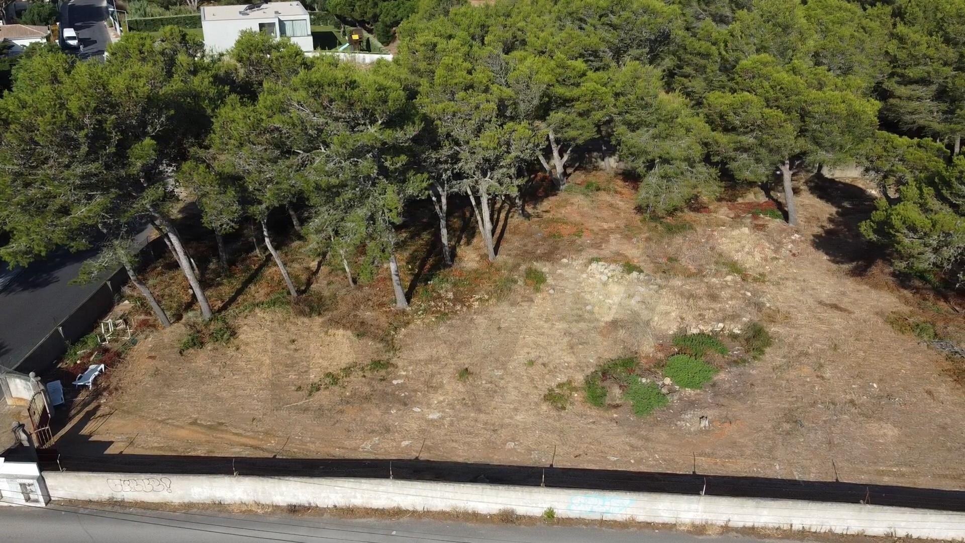 Terreno à Venda em Cascais - Lisboa - Portugal - 7