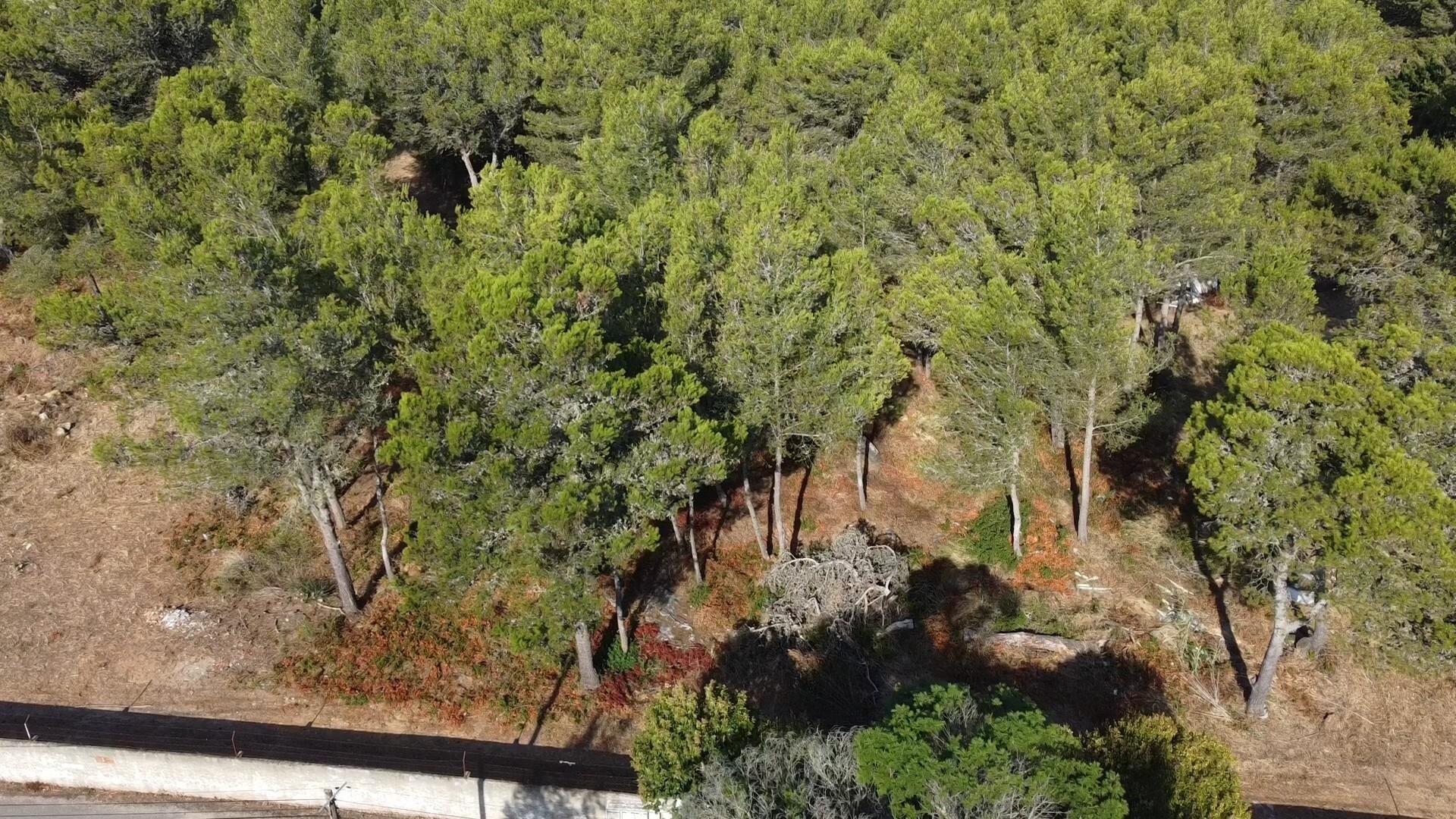 Terreno à Venda em Cascais - Lisboa - Portugal - 8