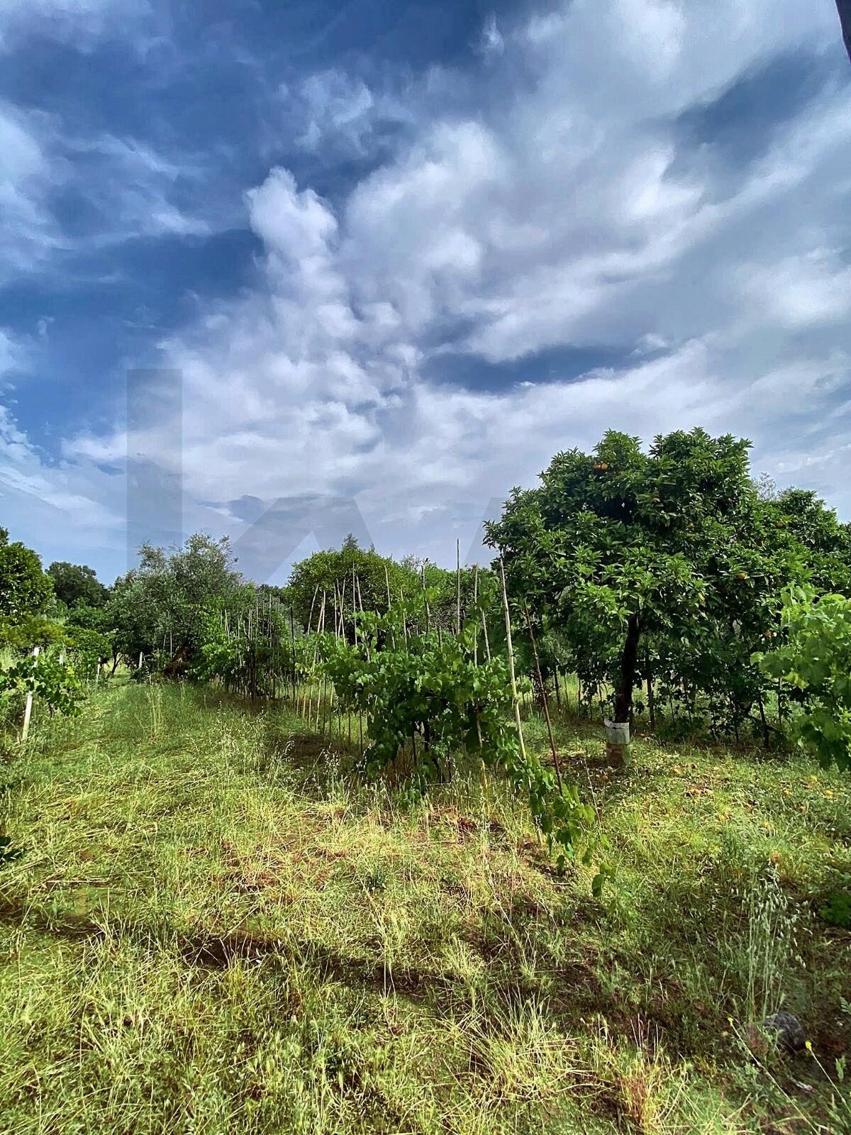 Terreno à Venda em Coimbra - Coimbra - Portugal - 2