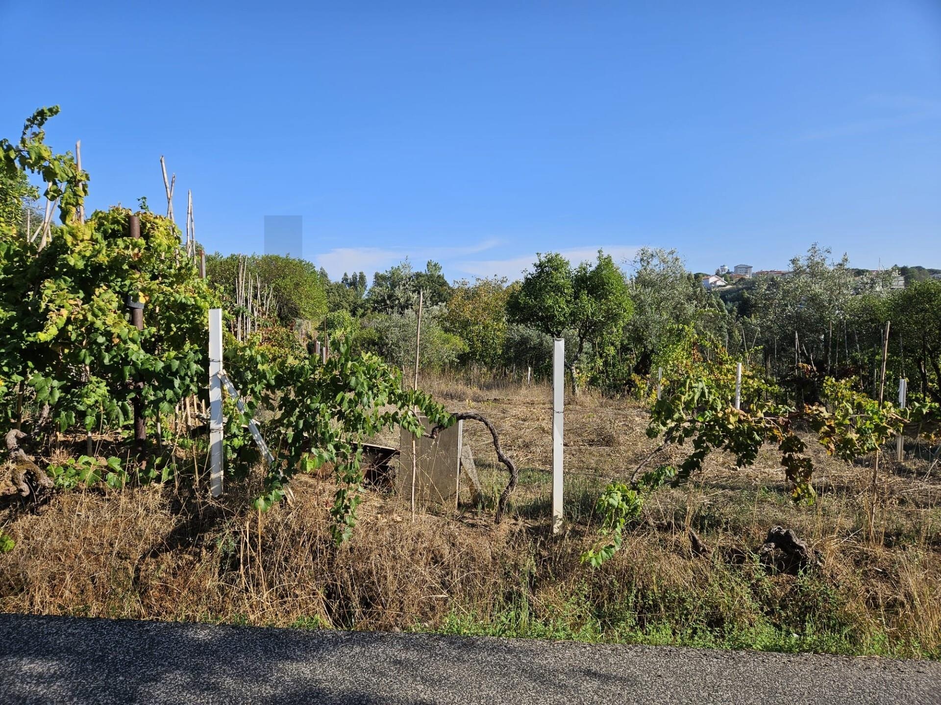 Terreno à Venda em Coimbra - Coimbra - Portugal - 4