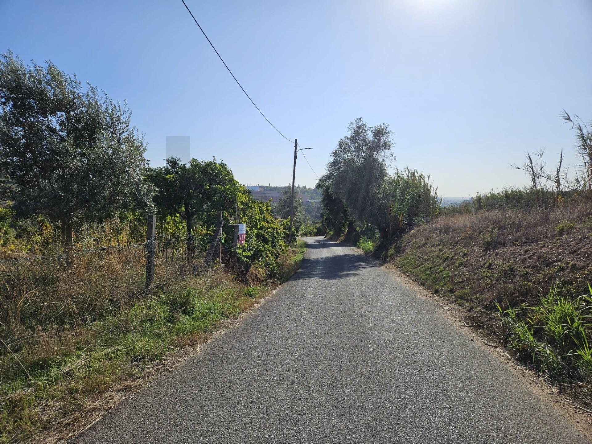 Terreno à Venda em Coimbra - Coimbra - Portugal - 7