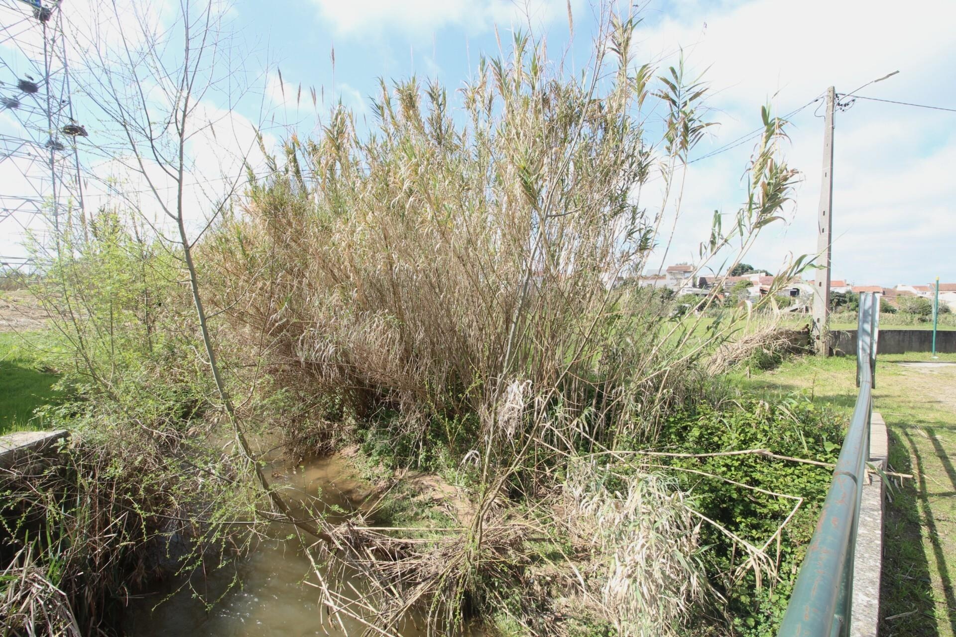 Terreno à Venda em Coimbra - Coimbra - Portugal - 6