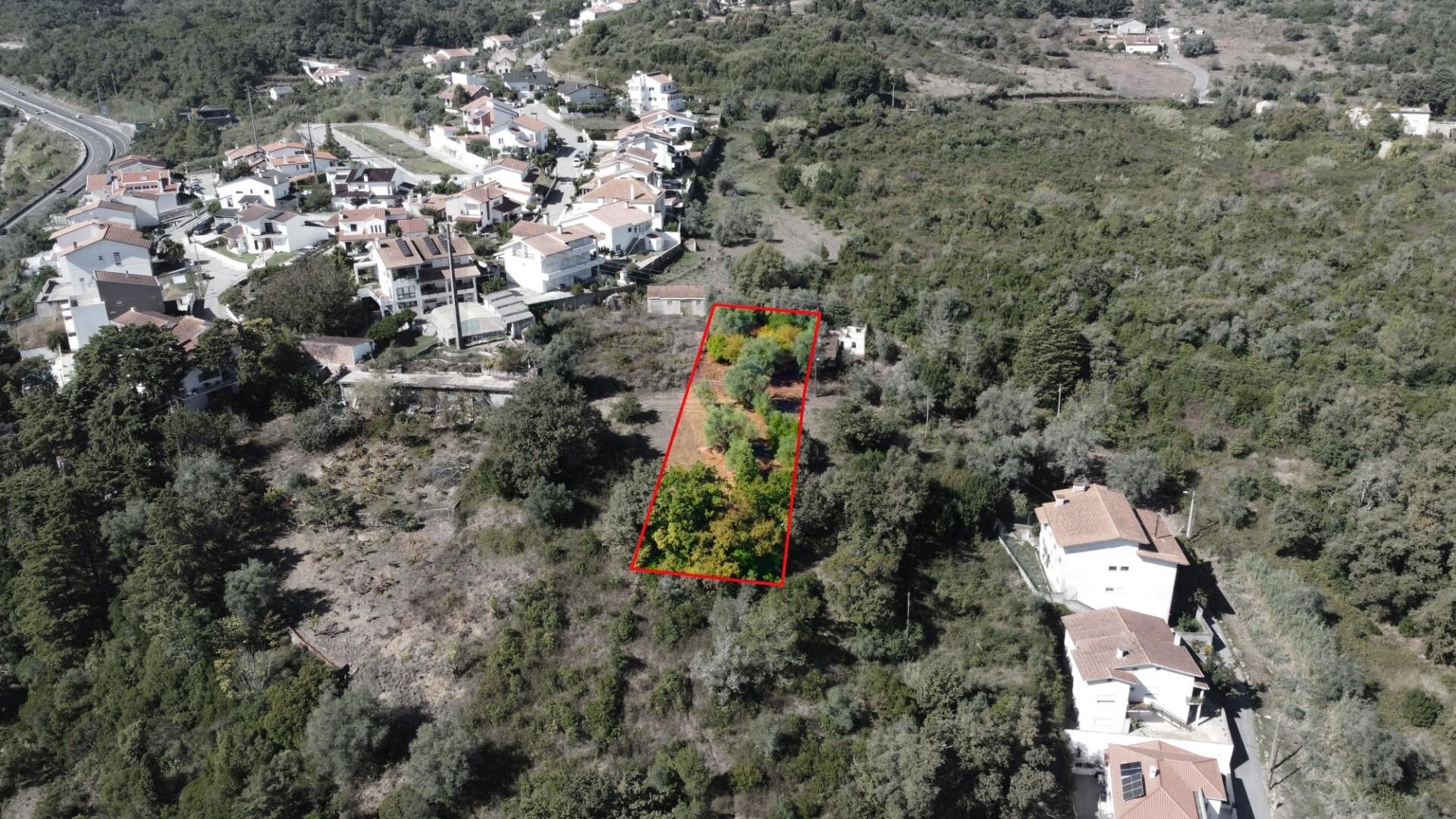 Terreno à Venda em Coimbra - Coimbra - Portugal - 4