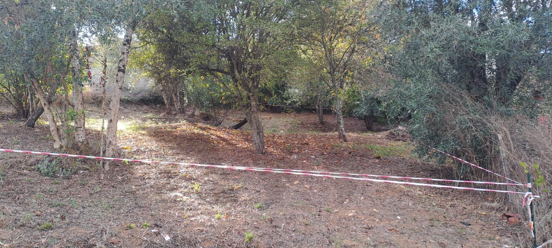 Terreno à Venda em Coimbra - Coimbra - Portugal - 8