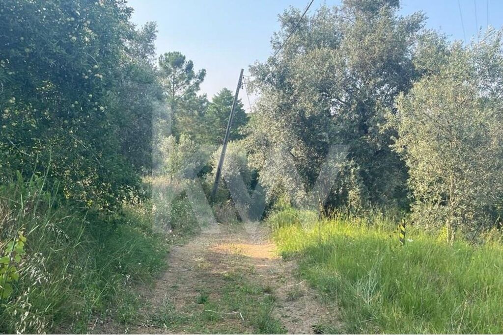 Terreno à Venda em Coimbra - Coimbra - Portugal - 4