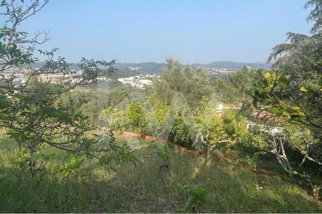 Terreno à Venda em Coimbra - Coimbra - Portugal - 8