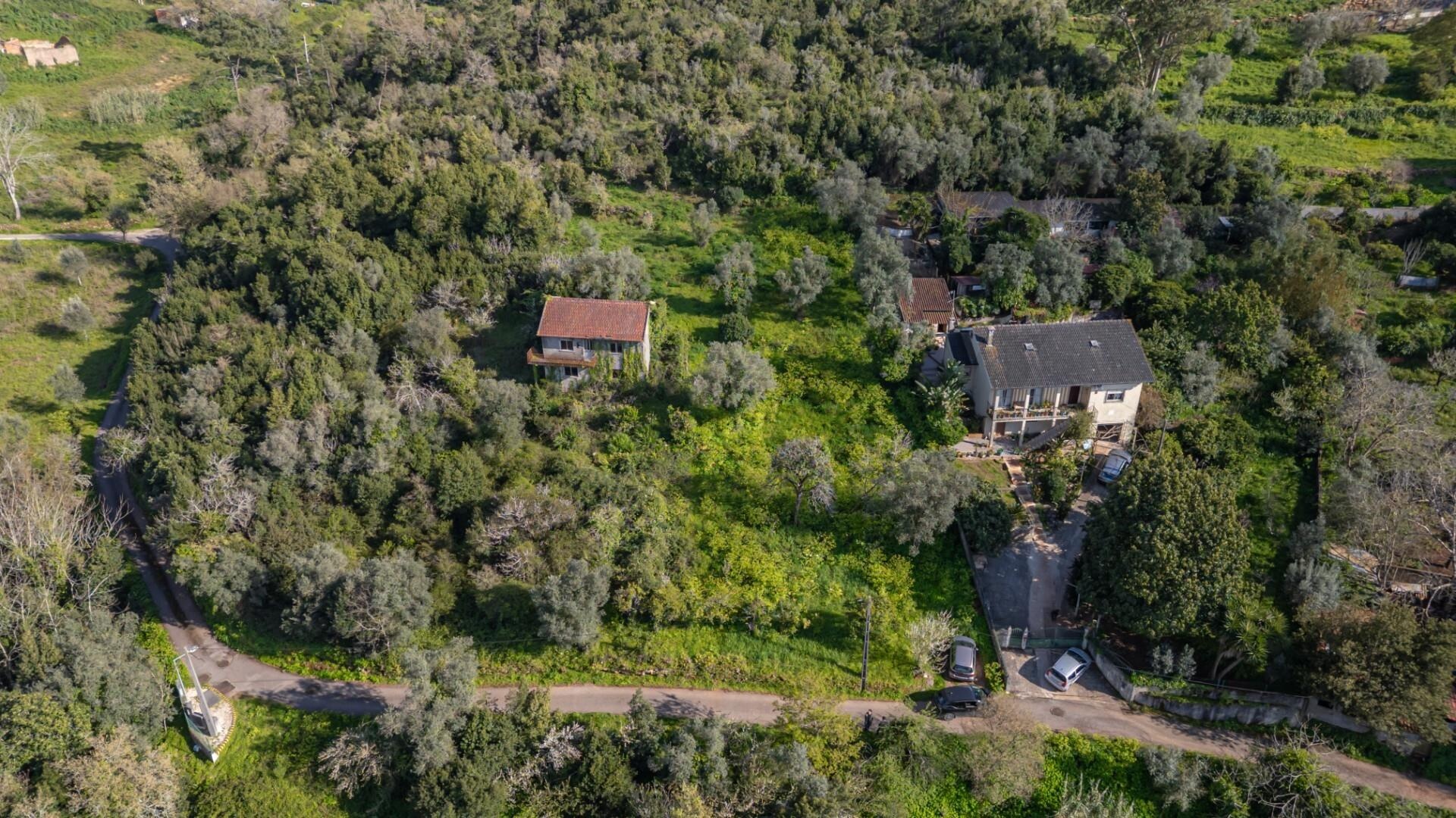 Terreno à Venda em Coimbra - Coimbra - Portugal - 3