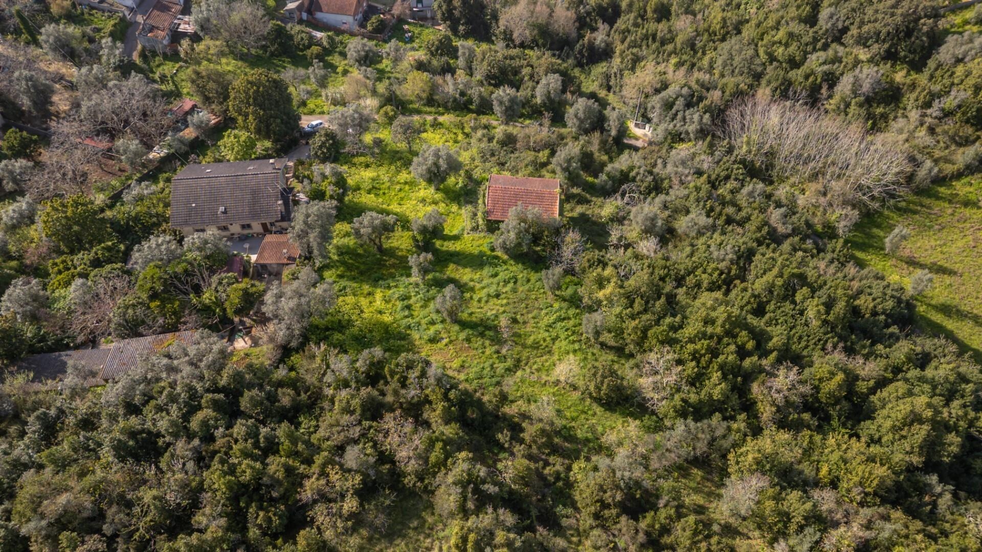 Terreno à Venda em Coimbra - Coimbra - Portugal - 8